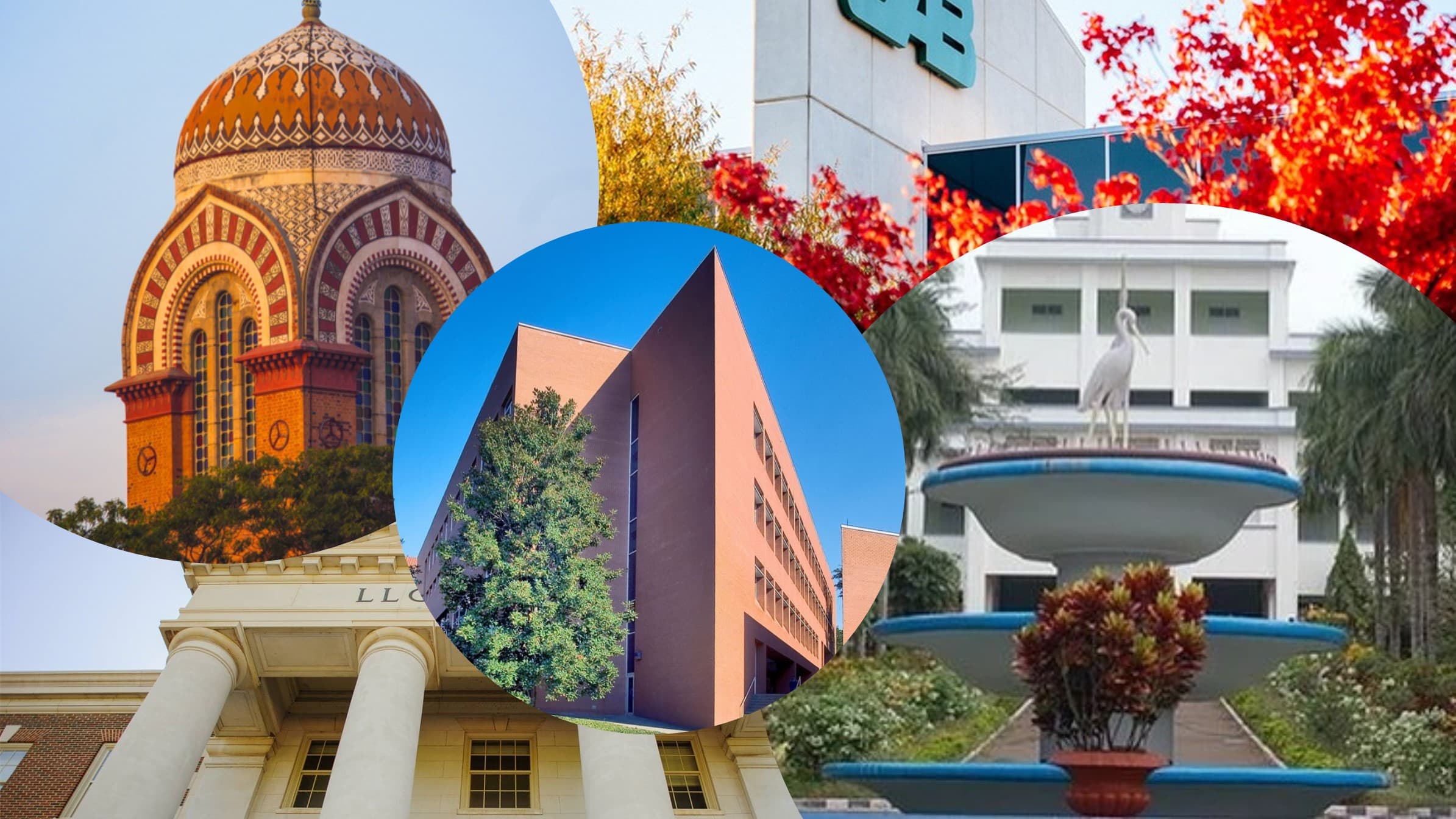 Dr. Velu in laboratory