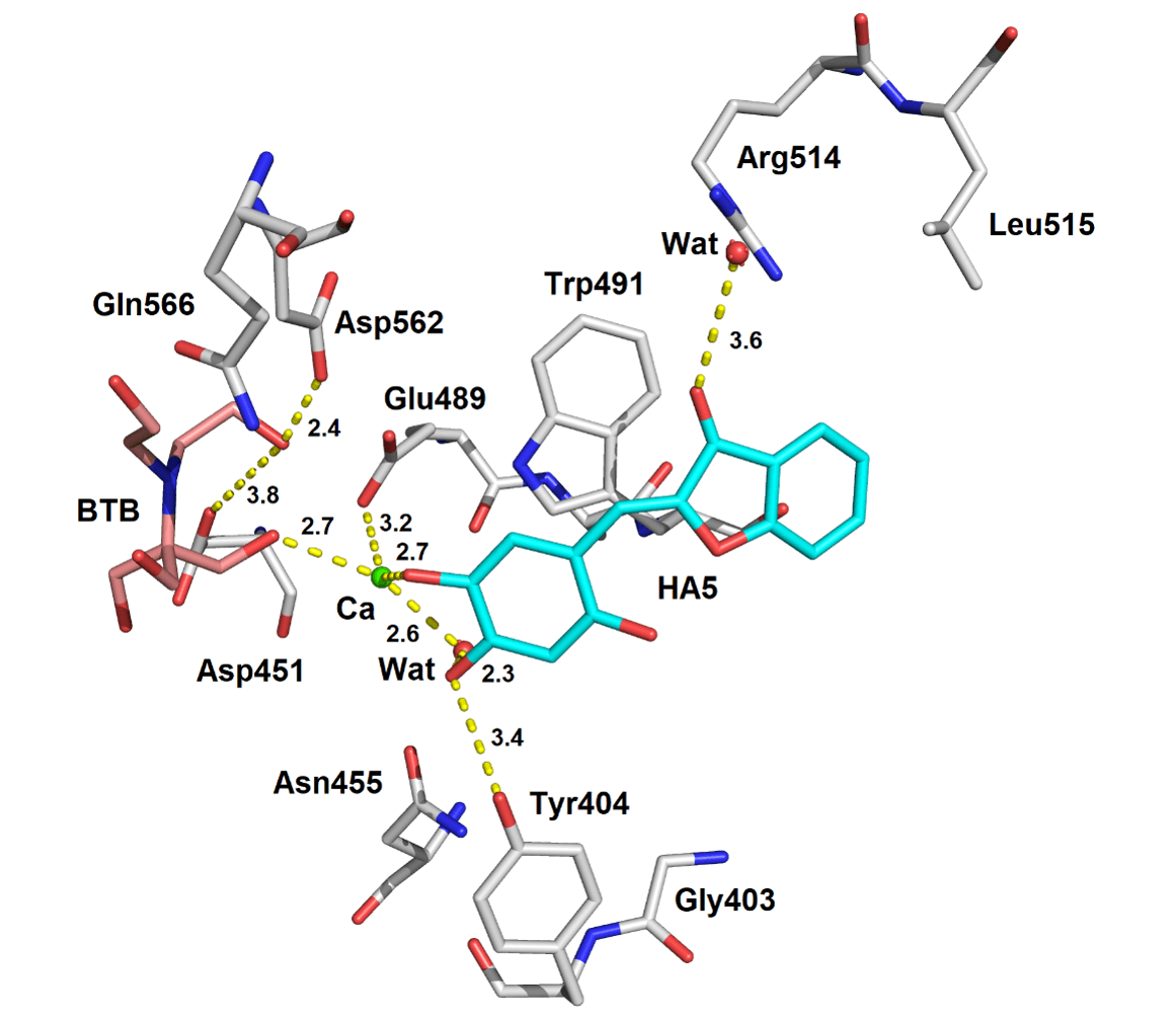 Small molecule inhibitors of cariogenic biofilms