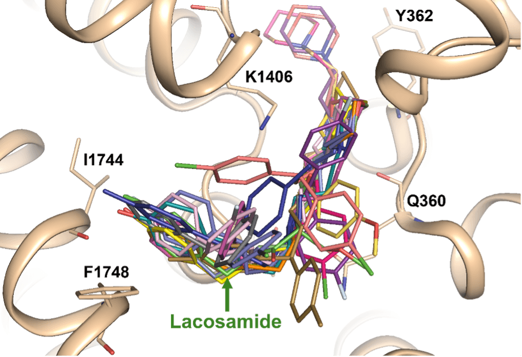 Voltage Gated Sodium Channel Blockers